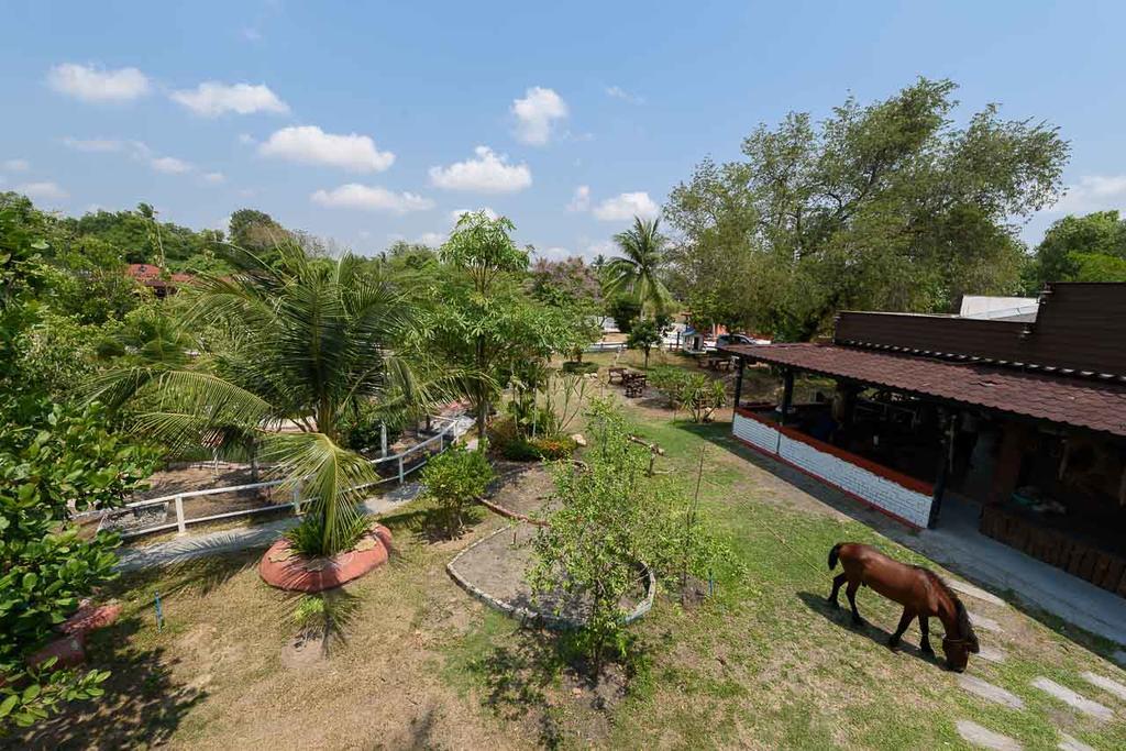 Cowboy Farm Resort Pattaya Ban Huai Yai Exteriör bild