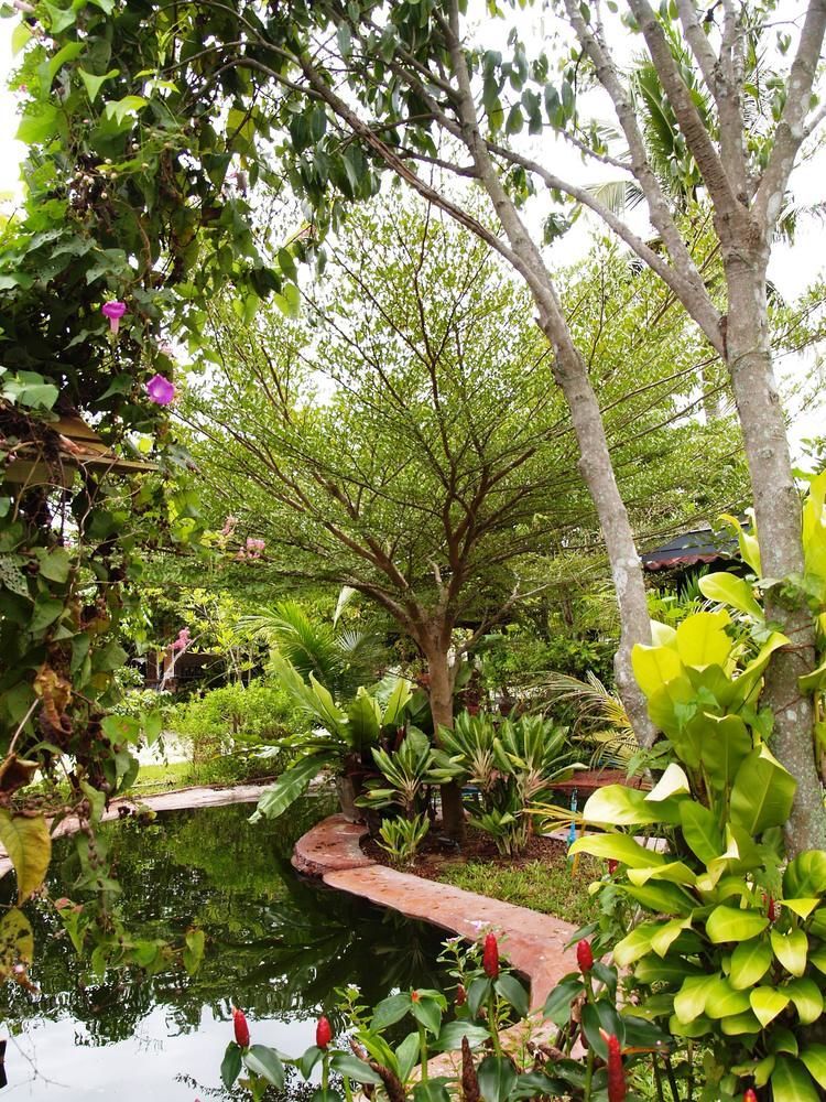 Cowboy Farm Resort Pattaya Ban Huai Yai Exteriör bild